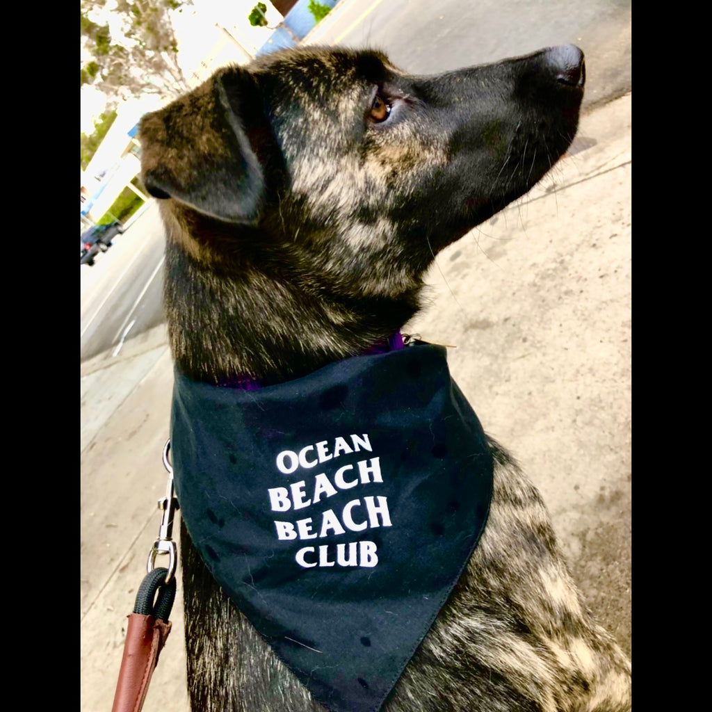 Ocean Beach Beach Club Dog Bandana